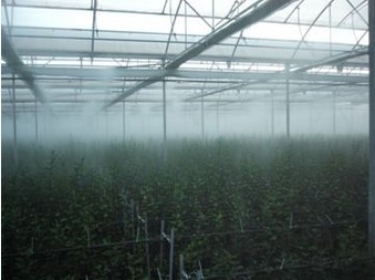 Greenhouse spray cooling